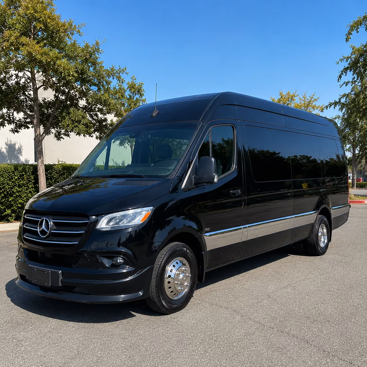 brookhaven streamline your official group travel in brookhaven
