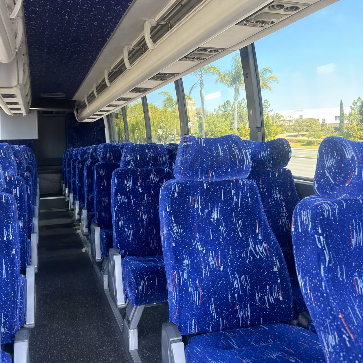 downtown athens bar crawls and brewery tour transportation