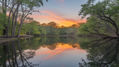 avalon park and preserve