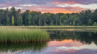 holtsville ecology site and animal preserve