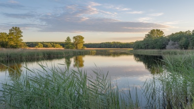 paynes prairie preserve state park